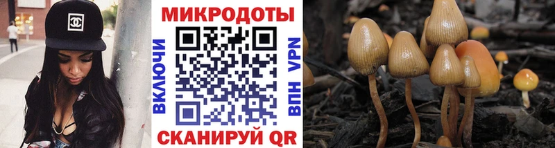 Купить где  Бутурлиновка  Псилоцибиновые грибы мухоморы 